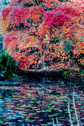 Landscape with pond